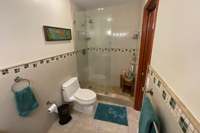 Bathroom shower - Miño-Rosales Home