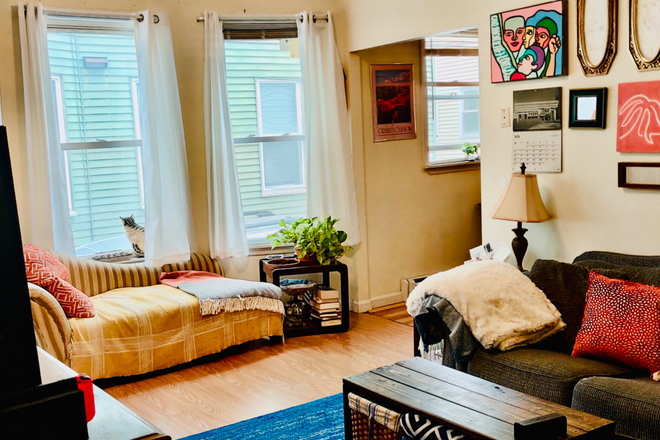 Living room - 10 Minute Walk to Harvard, 15-20 Minute to MIT Beautiful 4 Bed 2 Bath Aapartment