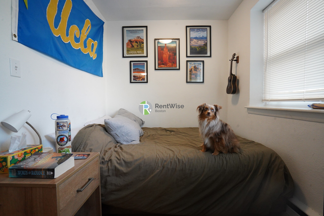 2 - $2450 | Studio in Brookline | 07/01 | HHW Included | Pet Friendly Apartments