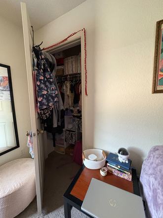 Bedroom Closet - The Pointe at Central Summer Sublet Apartments