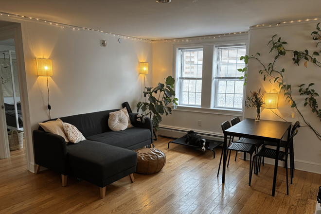 Living room - Furnished Room Lease Takeover in 2B/1B