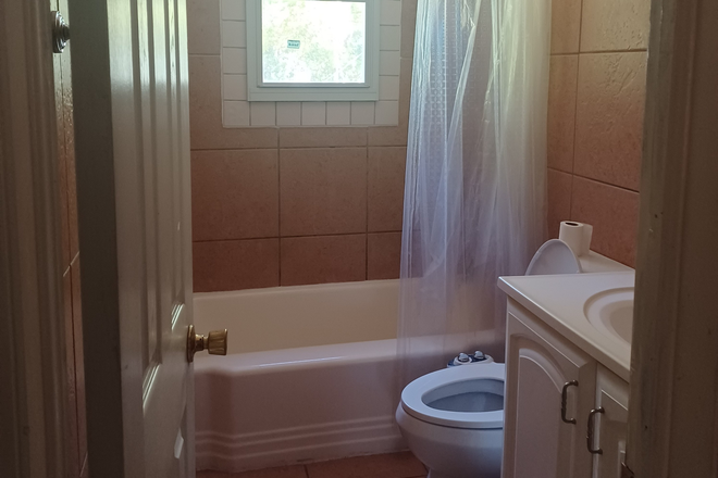 Bathroom - Home close to campus! Large yard, pets welcome!