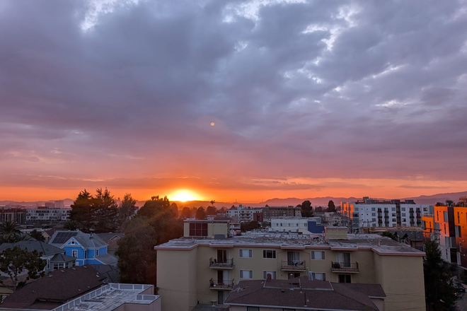 View from Building Roof - Close to Campus and Affordable!