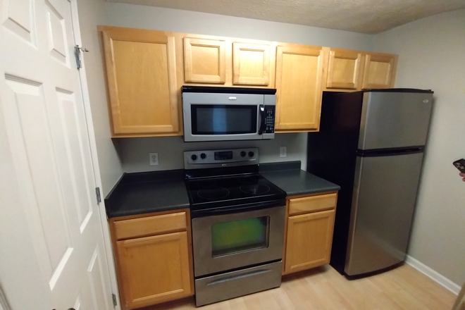 Kitchen - Logan Square Apartment (close to campus!)