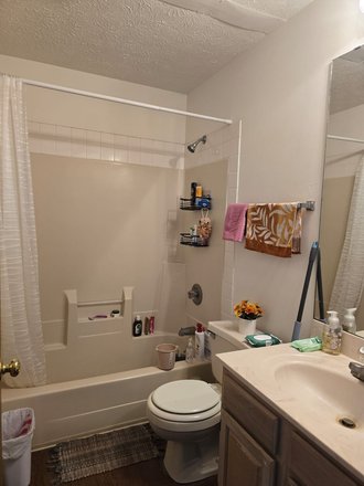 Bathroom - Nichols Apartment under B K Management