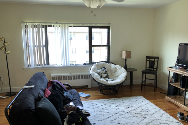 Living room - LONGWOOD AVE- 2 BED 1 BA H&HW INCL!! AVAIL 9/1/25 Apartments