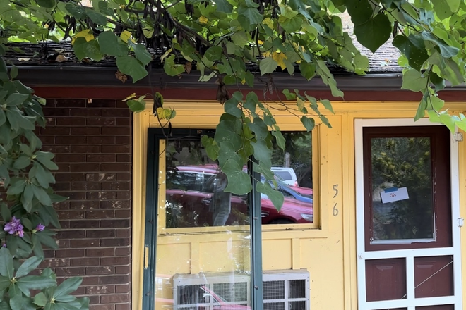 Front door - Treehouse Apartments