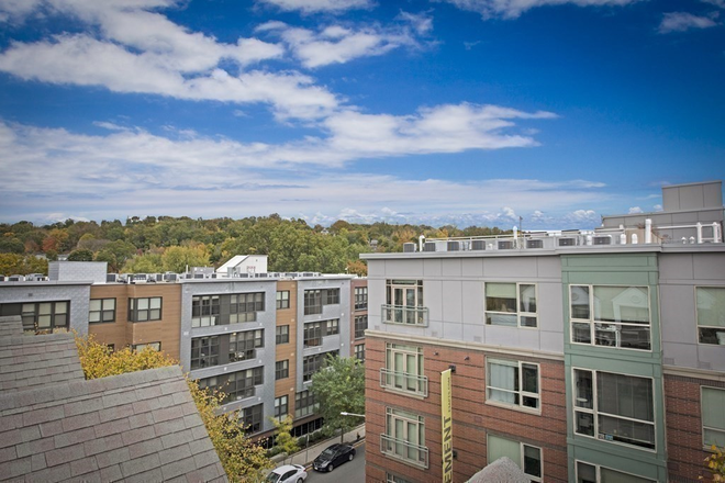 Rooftop - Quiet Apartment with Garage Parking & In-Unit Washer/Dryer