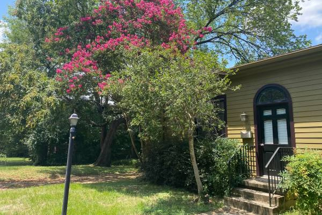 front 1 - Sunny Cottage in Hillsboro Village on 3/4 acre of trees, pond, garden. Short term or year-long lease House