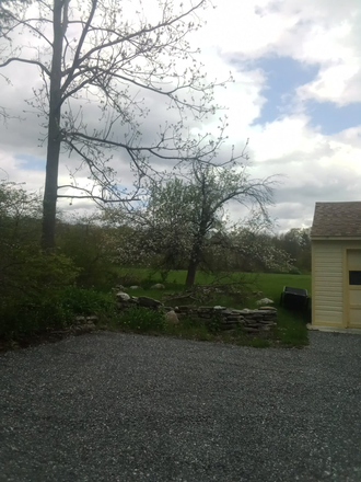 Parking Lot Looking back to Pasture - Large Furnished Suite in Charming Antique Home WITH ALL UTILITIES INCLUDED