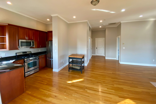 kitchen - 1 bed apartment / Harvard Square/ Available now.