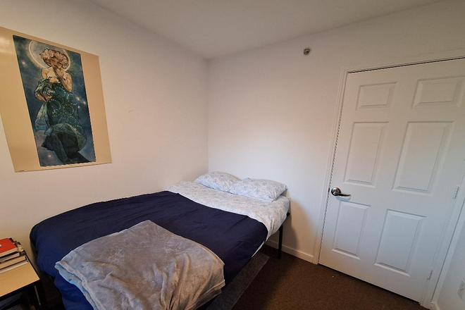 Bed - South Campus Commons Building 2 Lease Transfer, On Campus Apartment