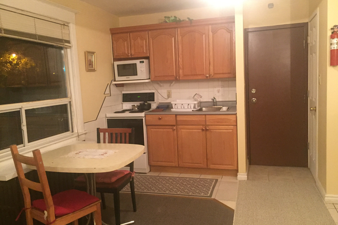 Kitchenette/Dining area - Furnished Private Bachelor Apartment a quick commute to St. George campus