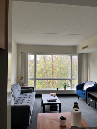 living room - Sublet:1BR apt for PU Graduate Student only-Lawrence Dr-Princeton