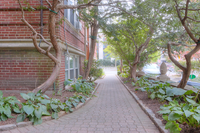 Exterior - Spacious 1-Bedroom Apartment Near Harvard Square! Includes Utilities!