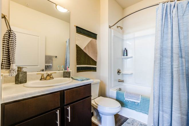 Private Bathroom - Rush Student Living Apartments