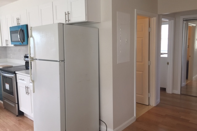 hall way - Apt 3, Two-bedrooms/one bath, $2800/Mon+Elect; walk to Green/Red lines.