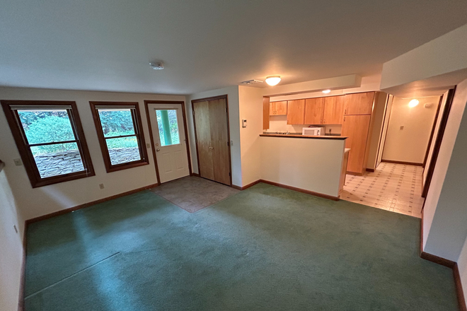 Living room and entryway - Spacious 2 BR APT on residential street walking distance to downtown Amherst, FREE utilities