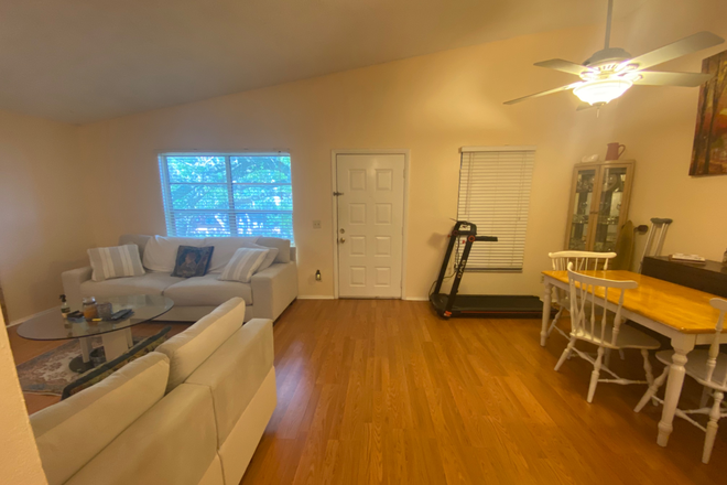 Shared Furnished Living Room and Dining Room - Room and Bath for Rent in a 2/2 Walking Distance to USF - Utilities Included Condo