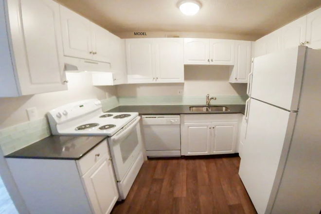Kitchen View - 2 Spots Available in a 3 Bed 3 Bath Apartment