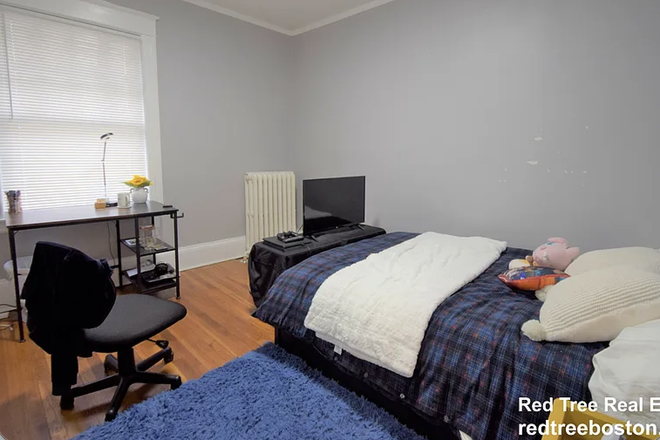 Bedroom 1 - Summer Sublease Available: 4BR/2BA in Brighton, MA (June–August) Apartments