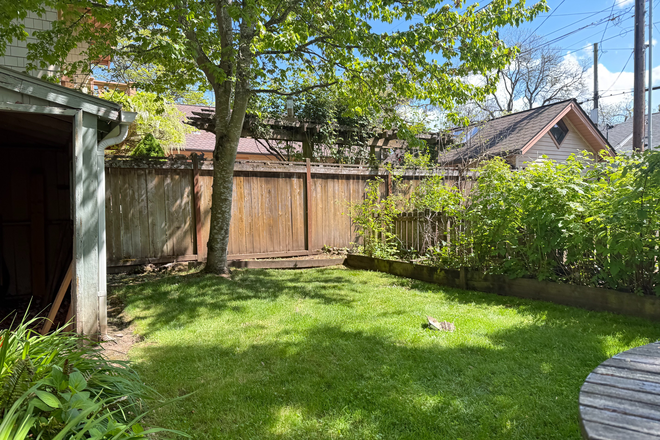 Backyard - Beautiful House and Yard in West Jefferson Neighborhood