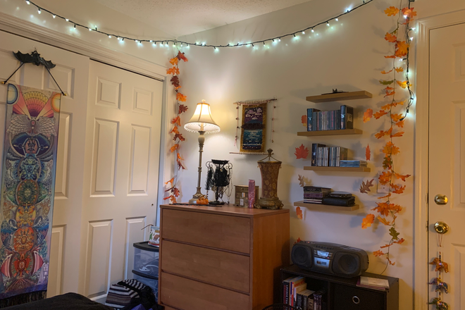 Bedroom closet and dresser - University Highlands Apartments