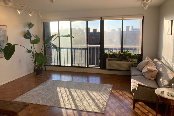 living room - Room for short-term sublet in Harvard Square Condo