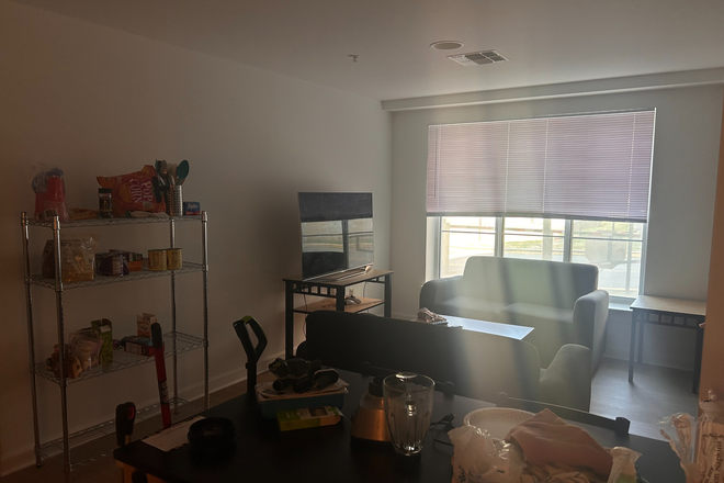 living room. All amenities except Storage rack included - South Campus Commons 7