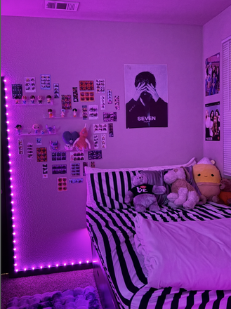 this is a photo of how i decorated the room!! it comes furnished with a bed, nighstand, desk and chair and ur own private bathroom! - Highlander at North Campus Apartments