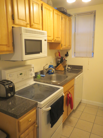kitchen - NO BROKER'S FEE! Renovated 1 bedroom on Haviland St! TEXT MINNIE 617.817.5069 Apartments