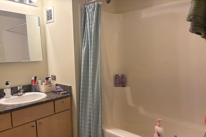 Bathroom - Letterman Chicago Apartments (Sublease June and July) - Right Behind UIC
