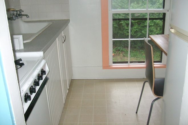 as enter apartment, kitchen on left side - Sunny "treehouse" apartment