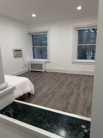 bedroom-living space - Furnished  Studio 2nd floor, new kitchen, W/D in basement, Dupont circle Condo