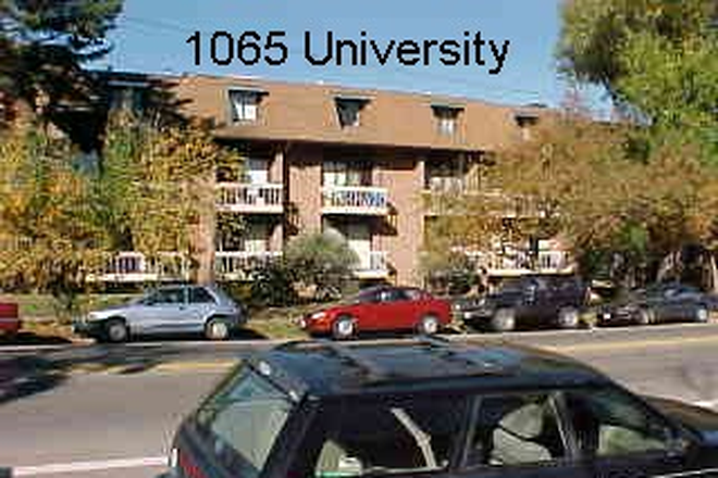 1065 University Ave. - 1065 University Ave. - Large 2 Bedroom on the Hill Apartments