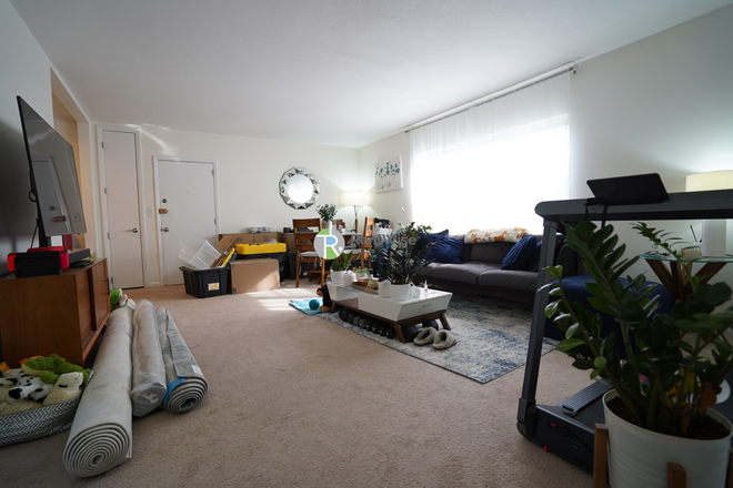 1 - DEC 2025-Incredible Brighton 2 bed, H/Hw/Parking inc. Pets OK, NO FEE! Apartments