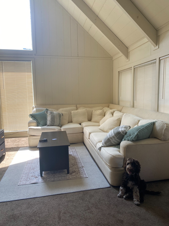 Living room - Puffton Village Apartments