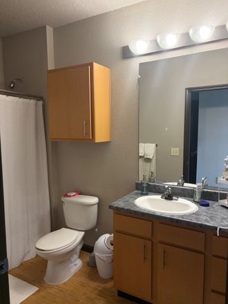 Extra Strorage Space above toilet and below counter - Room For Rent [email removed] Apartments