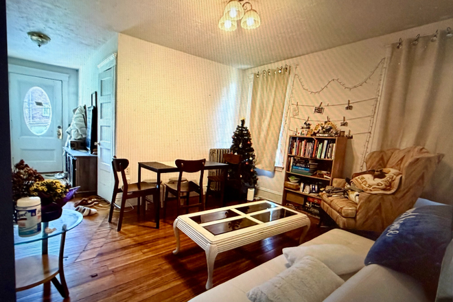 Entrance and part of the living room - Large and quiet unit in a 2-Family House close to Campus