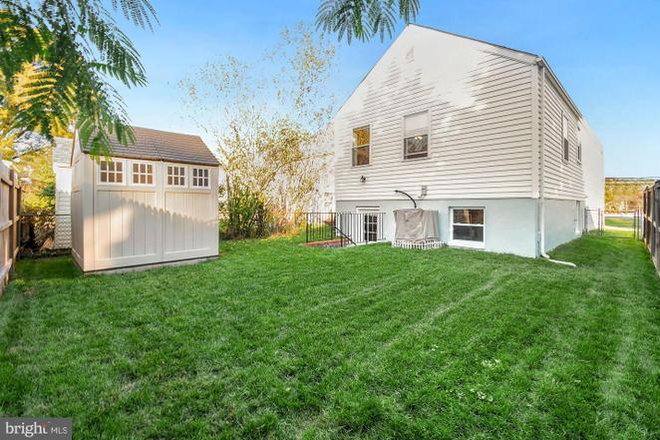 Backyard - Room(s) in front of Duvall Field - Near Bus Route, Metro, Walk/Bike to Campus House