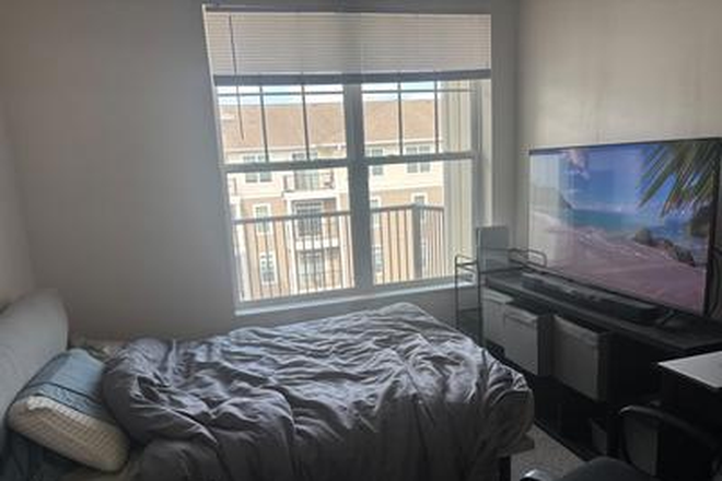 Bedroom - Room at The Flats 2x2