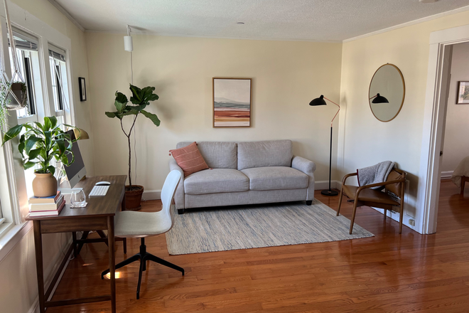 Living room - 1BR apartment right between Cambridge and Somerville