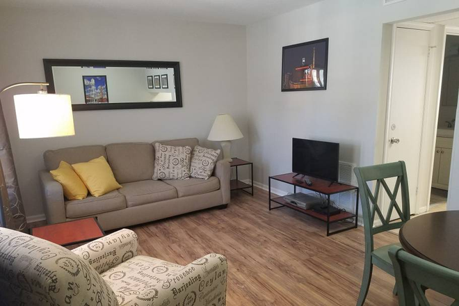 Living Room - Bright and Cheery Poolside Apartment Near Campus