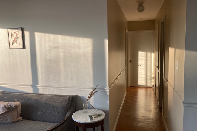 living room - Room for short-term sublet in Harvard Square Condo