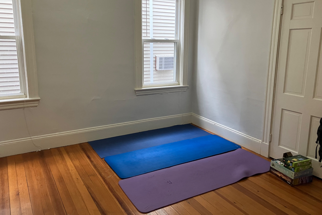 living room/yoga room - Summer sublet 1b1b mid-May to late August near Harvard Apartments