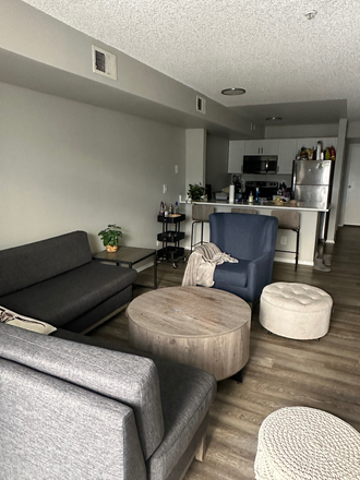 Living Room - Union Baseline Apartments, Sublease less than a mile from campus!