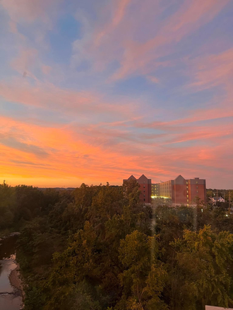 View - Tempo Apartments