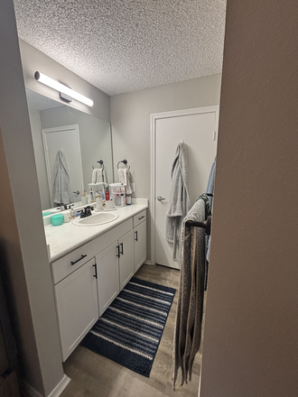 Attached sink and vanity - Union Baseline Apartments