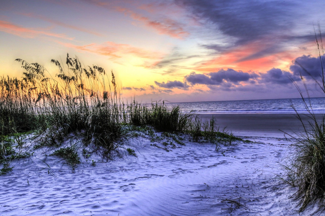 Enjoy evening walks on the beach 5 minutes away from your cottage - All-Inclusive UNCW Private Rooms – Furnished Cottage on 8-Acre Estate, 1 mi Beach, 11 mi to campus Apartments