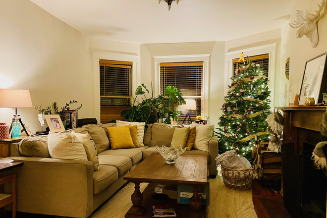 Living room with bay windows - 2 bedroom plus home office. Walk or bike to Harvard, MIT.